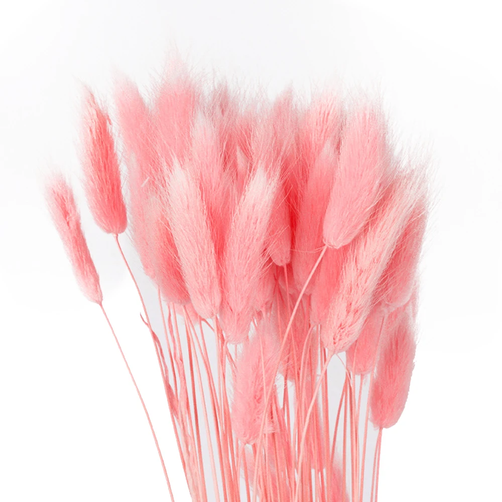

10pcs Romantic Soft Rabbit Tail Reed Grass For Valentine's Wedding Crafts Home Decor Material Dried Flowers Bouquets Bunny Tails