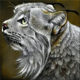 001 (18)_