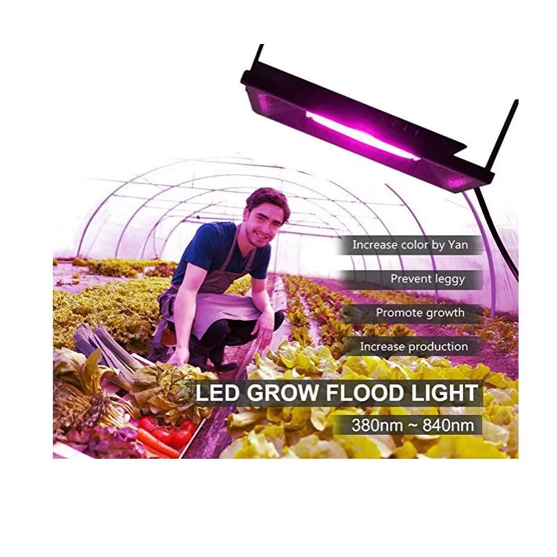 Waterproof 50W 100W Cob full spectrum LED Grow Lights for Indoor Plants Hydroponic Systems Gardening Greenhouse