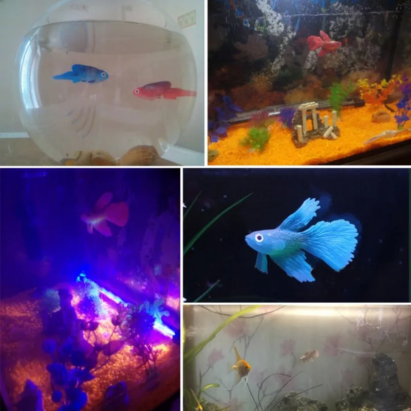 pet luminous electron fish