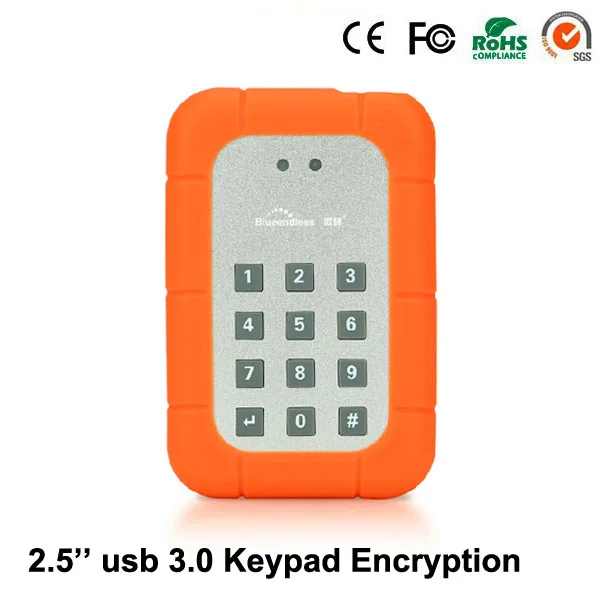 Encrypted Lock 2 5 SSD Solid State Driver 64G 128G 256G Portable External SSD Case Sata