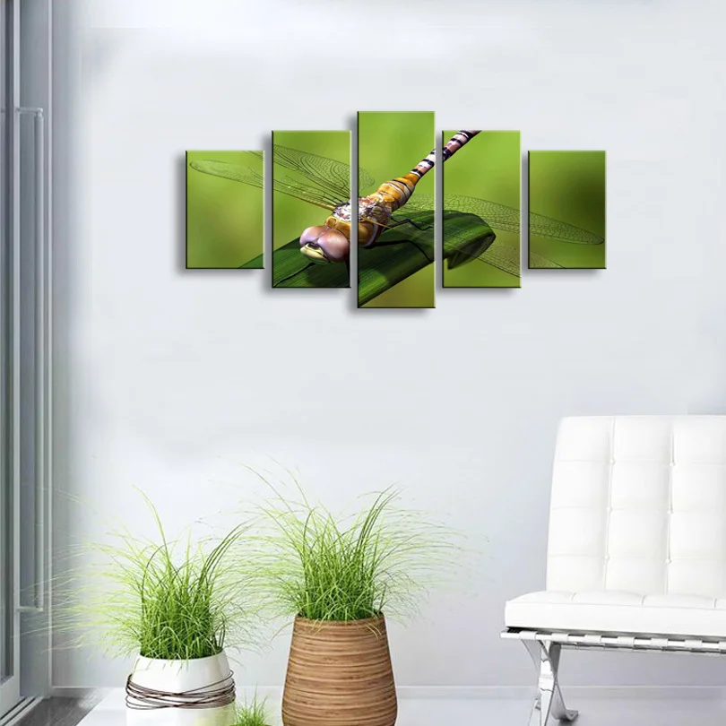 5 pieces high-definition print dragonfly canvas oil painting poster and wall art living room picture SD-001 (6)