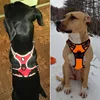 Truelove Dog Harness Small Large Durable Reflective Pet Harness Dog Running Safety Lift Pulling Walking Harness For Dog Travel ► Photo 3/6