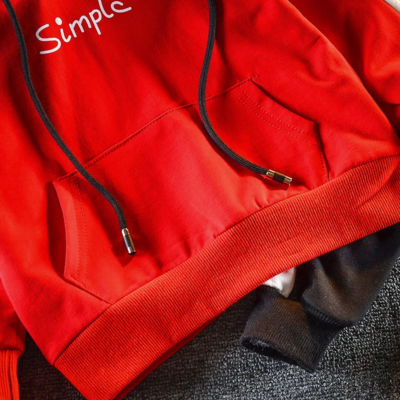 2019 Autumn Baby Boys Clothing Sets Fashion Girls Hooded Sweatshirt And Pants Suit Children Clothing Tracksuit Kids Clothes Set (2)