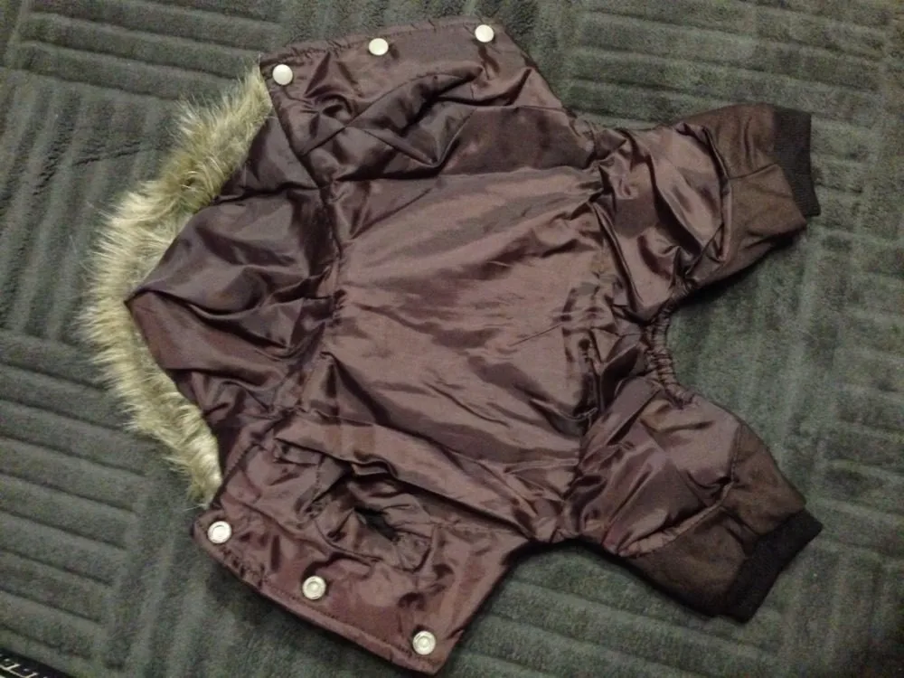 UT8MgLuXrlbXXagOFbXn