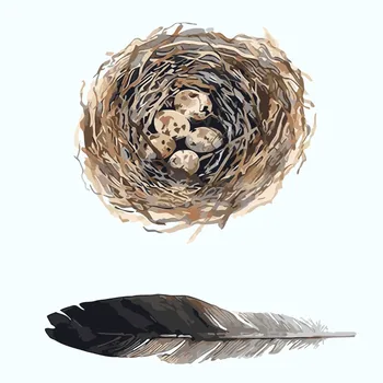 

Oil Painting By Numbers Feather Abstract Paint by Number Bird Nest Oil Painting Kitchen Bowl canvas painting Room Decor 50*50