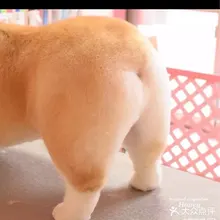 L***h