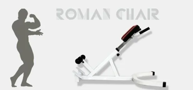 Twisters Roman Chair Hyper Extension Bench Lower Back Core Abs In