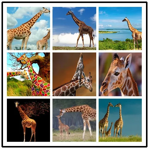 LIPHISFUN Full Drill Diamond Painting Handmade Cross Stitch Embroidery Square/round DIY Giraffe Cute Animal | Дом и сад