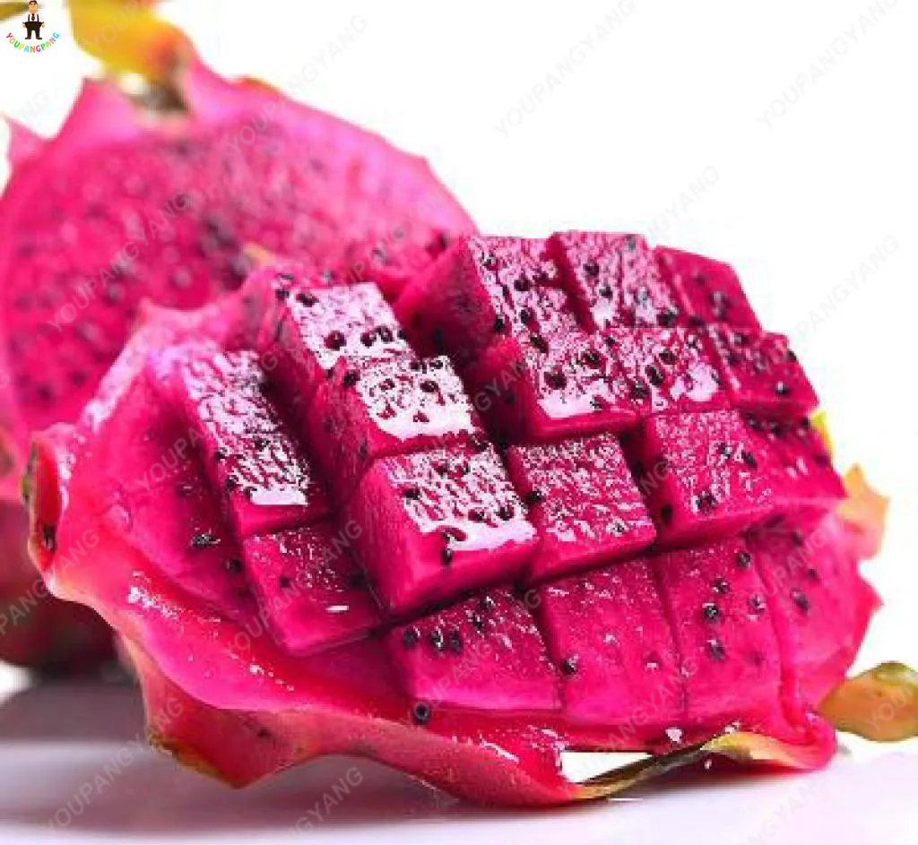 

50pcs white and red Pitaya plantas Bonsais Real Dragon fruit Bonsai home garden fruit tree winter garden decoration Planting