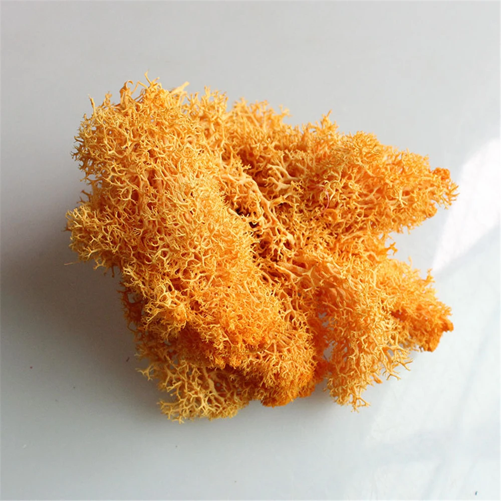 

10G Natural Norwegian Reindeer Moss Preserved Dried Craft Flower Stamen Decoration