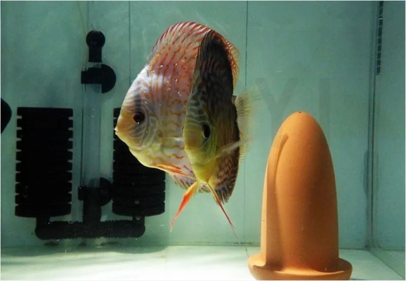 HONGYI 1 шт. декоративный инкубатор для рыб, красочный горшок для размножения, горшок для размножения, баррель angelfish spawn barrel, размеры S, L