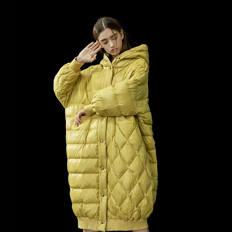 LYNETTE'S CHINOISERIE Winter Original Design Women Brief Ultra Loose X-long Hooded White Duck Down Coat Jackets Outerwear