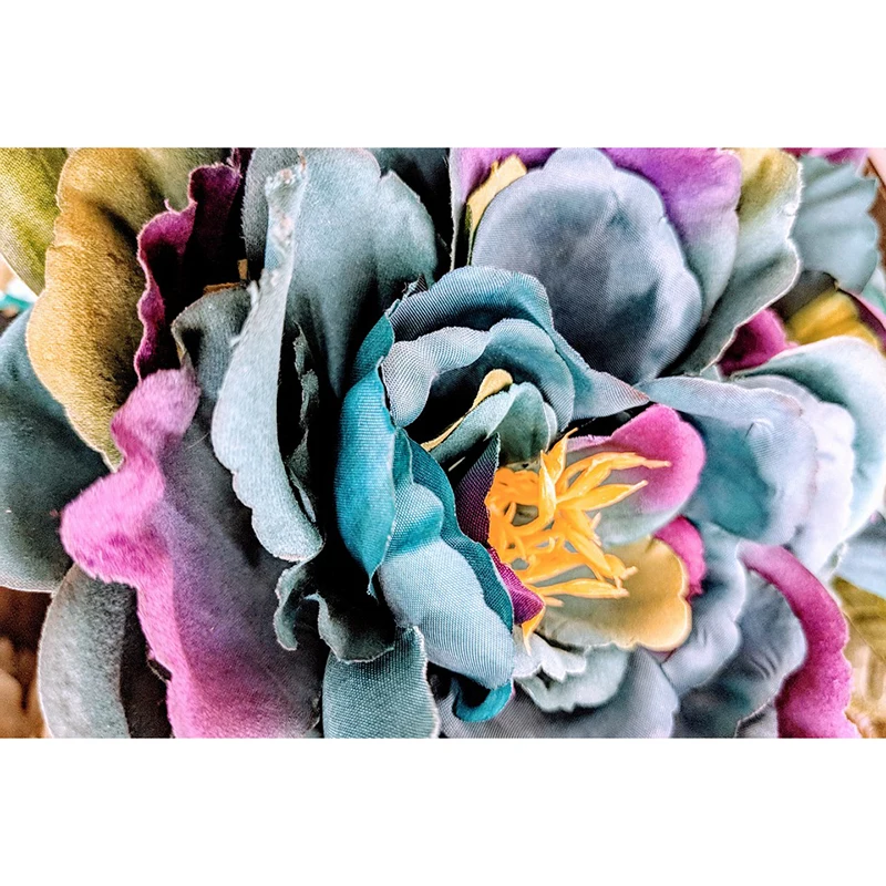 colorful-3383735_960_720