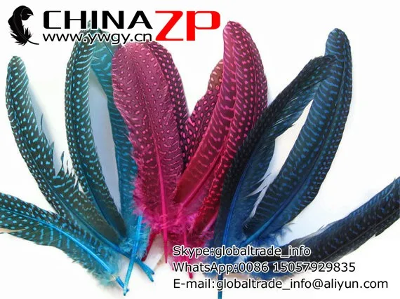 Chinazp фабрики www.ywgy.cn 15 ~ 20 см Длина 200 шт./лот горошек окрашенная Royal Blue цесарки гусиный пух
