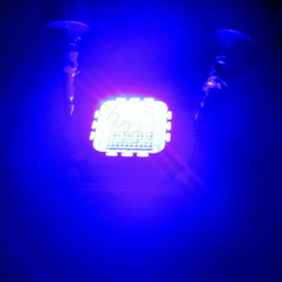 Blue(1)