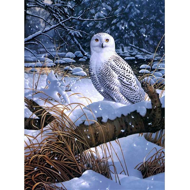 

5D Diamond embroidery Diy Diamond Painting full Rhinestone Needlework Mosaic Snow Owl Sticker Decorative painting BK-4563