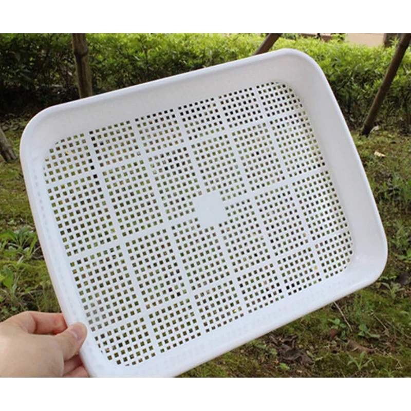  Double-Layer Plant Nursery Pots Hydroponics Tray Seed Sprout Plate Plant Germination Tray Grow Box Vegetable Seeding Tray Case (8)