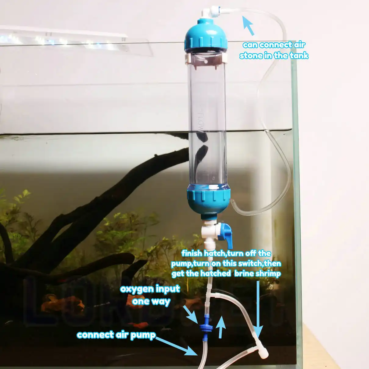 Brine Shrimp Eggs Hatcher Incubator Aquarium Hatchery Artemia Hatchery Kit Egg Carton Egg Costeggs Parrot Aliexpress Brine Shrimp Eggs Hatcher Incubator Aquarium Hatchery Artemia Hatchery Kit Egg Carton Egg Costeggs Parrot Aliexpress