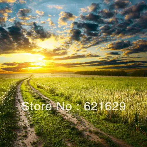Natural scenery 8 x8 CP Computer painted Scenic Photography Background font b Photo b font Studio