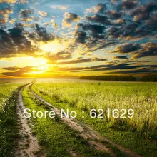 Natural scenery 8 x8 CP Computer painted Scenic Photography Background font b Photo b font Studio