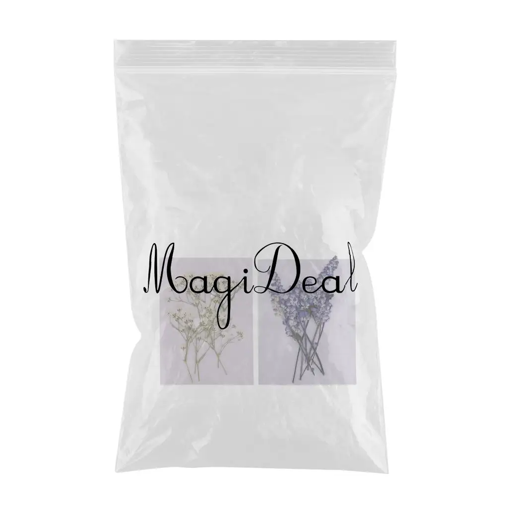 MagiDeal 20x Pressed Dried Flowers Real Babysbreath Sage DIY Scrapbooking Arts Crafts Fake Flowers for gift packaging DIY Craft 