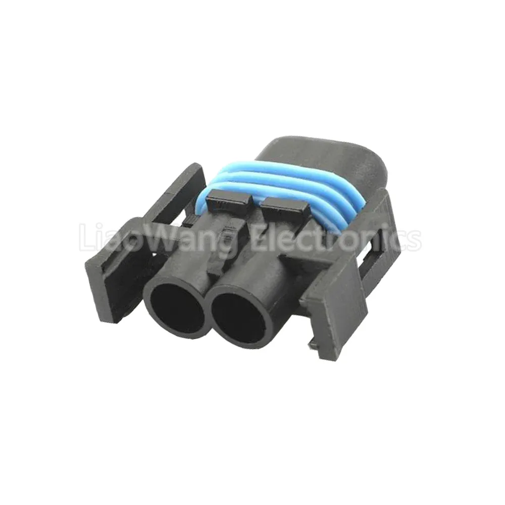 

2 Pin Automotive connector wiring harness connector plug with Terminal DJY7029A-2.8-21 2P