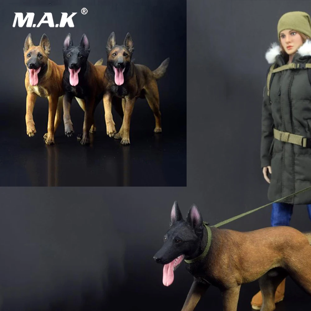 

1/6 Scale Collectible Action Figure Scene Accessories TC-M9010 Malinois 2.0 Working Dog Figure Model for 12'' Action Figure