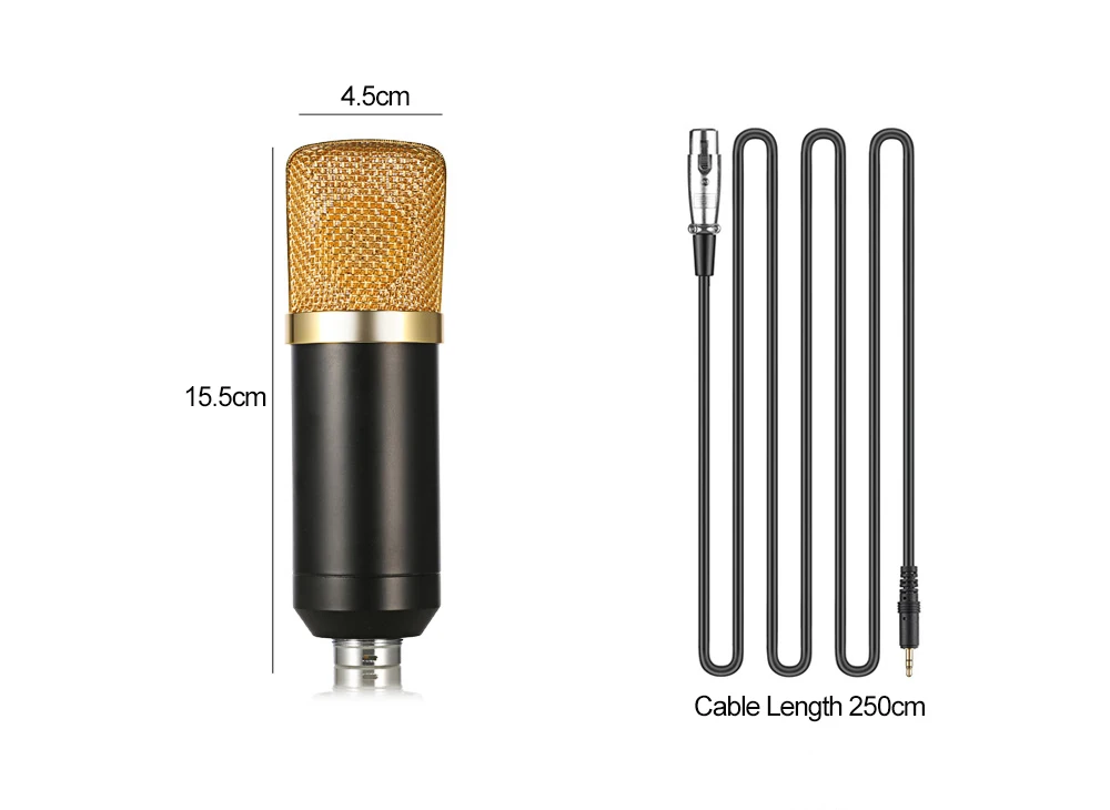 BM 700 Condenser Microphone 5