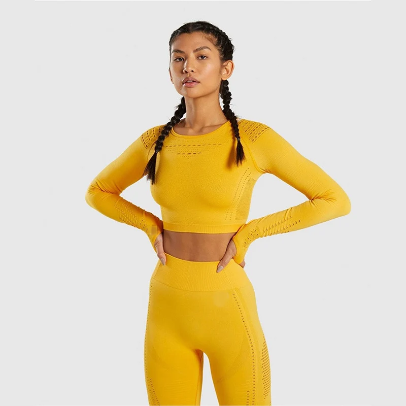 SALSPOR женский бесшовный укороченный топ с длинным рукавом, для йоги, для спортзала, для бега, спортивная одежда для фитнеса, женские эластичные облегающие для тренировок Топы - Цвет: Yellow