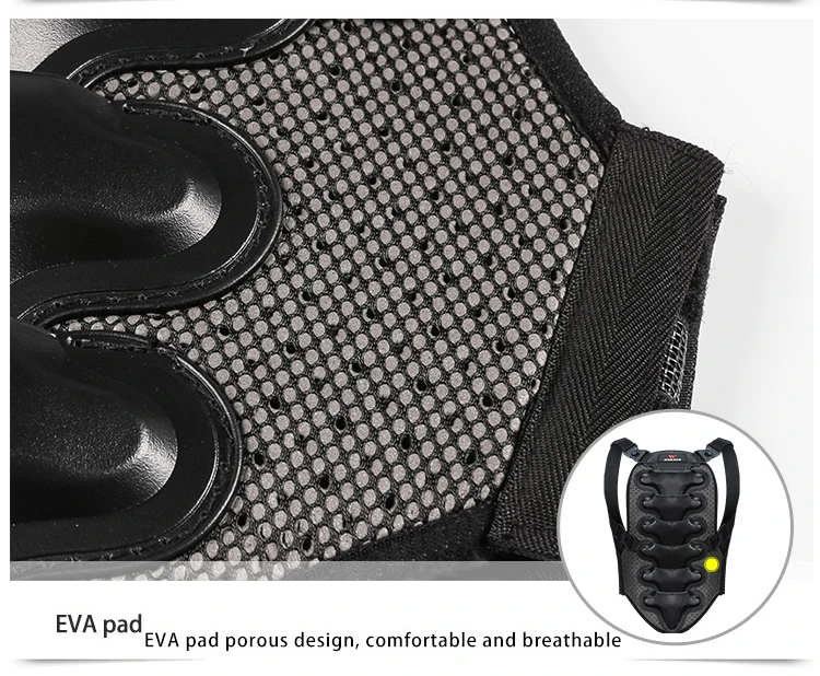 Back Protection 10