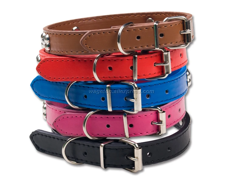 9 harness dog 