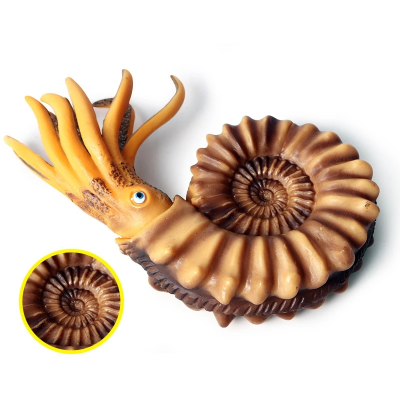 Моделирование морской жизни Модель раковины Nautilus украшение куклы