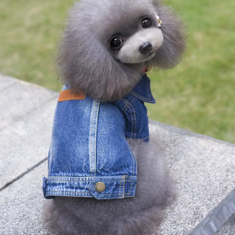 Dog Clothes for Small Dogs 2018 New Vestido Pet Clothing for Yorkies