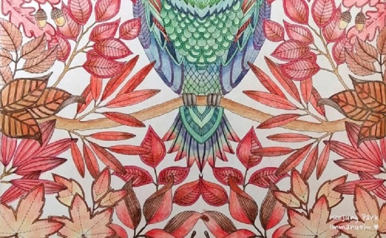 (27)