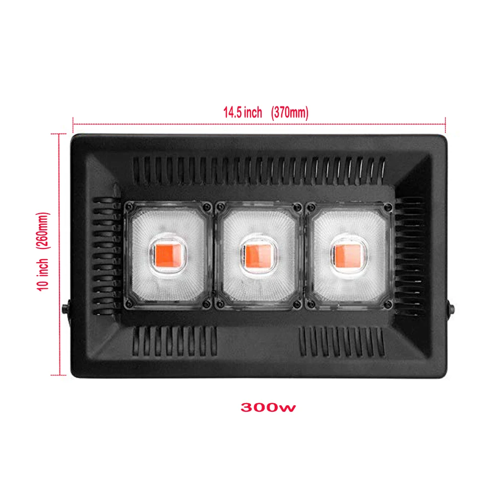 300w