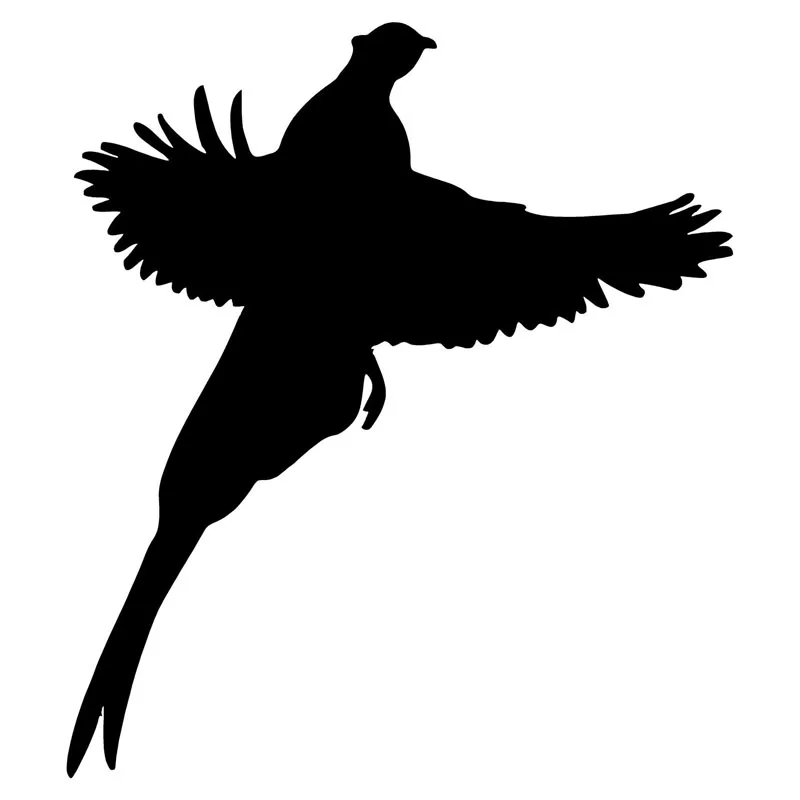 12-6-14-3CM-Pheasant-Creative-Car-Styling-Stickers-Cute-Animal