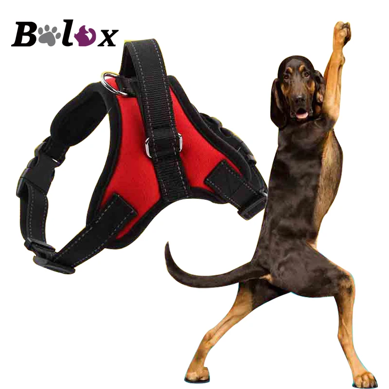 Large and medium dog leash chest strap chain pet supplies spot wholesale | Дом и сад