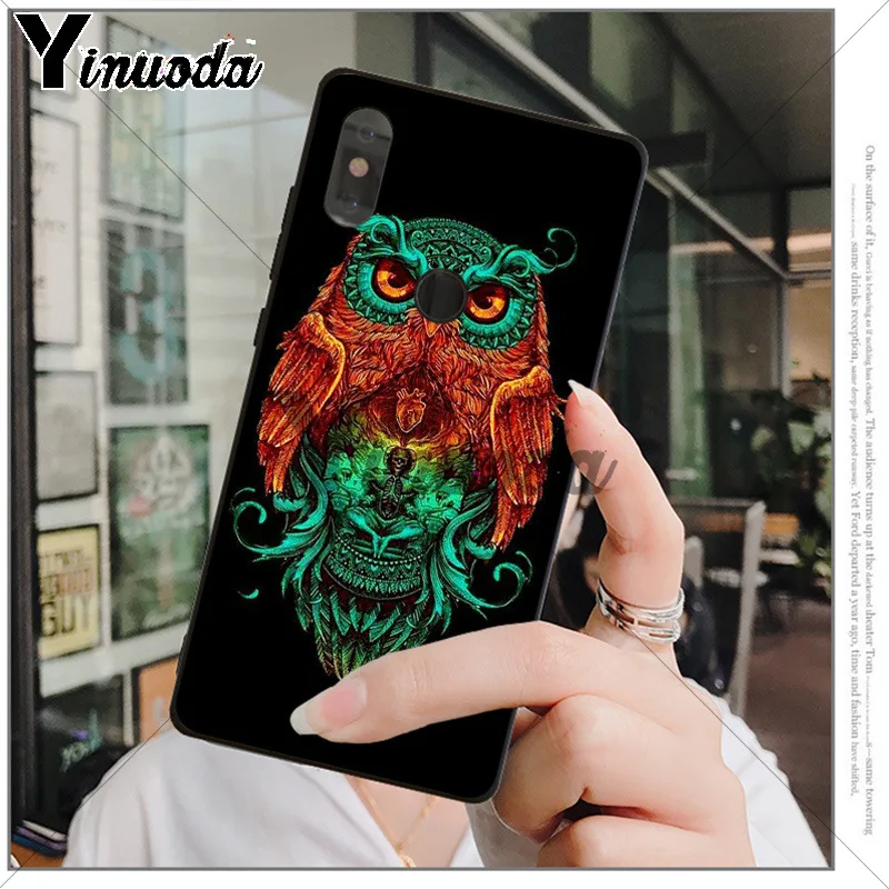 Animal Night Owl 