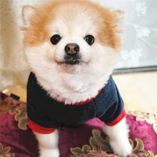 Pet Autumn Winter Warm Costume, Raglan Sleeve Fleece Sweater For Small Medium Dogs Pet Autumn Winter Warm Costume, Raglan Sleeve Fleece Sweater For Small Medium Dogs