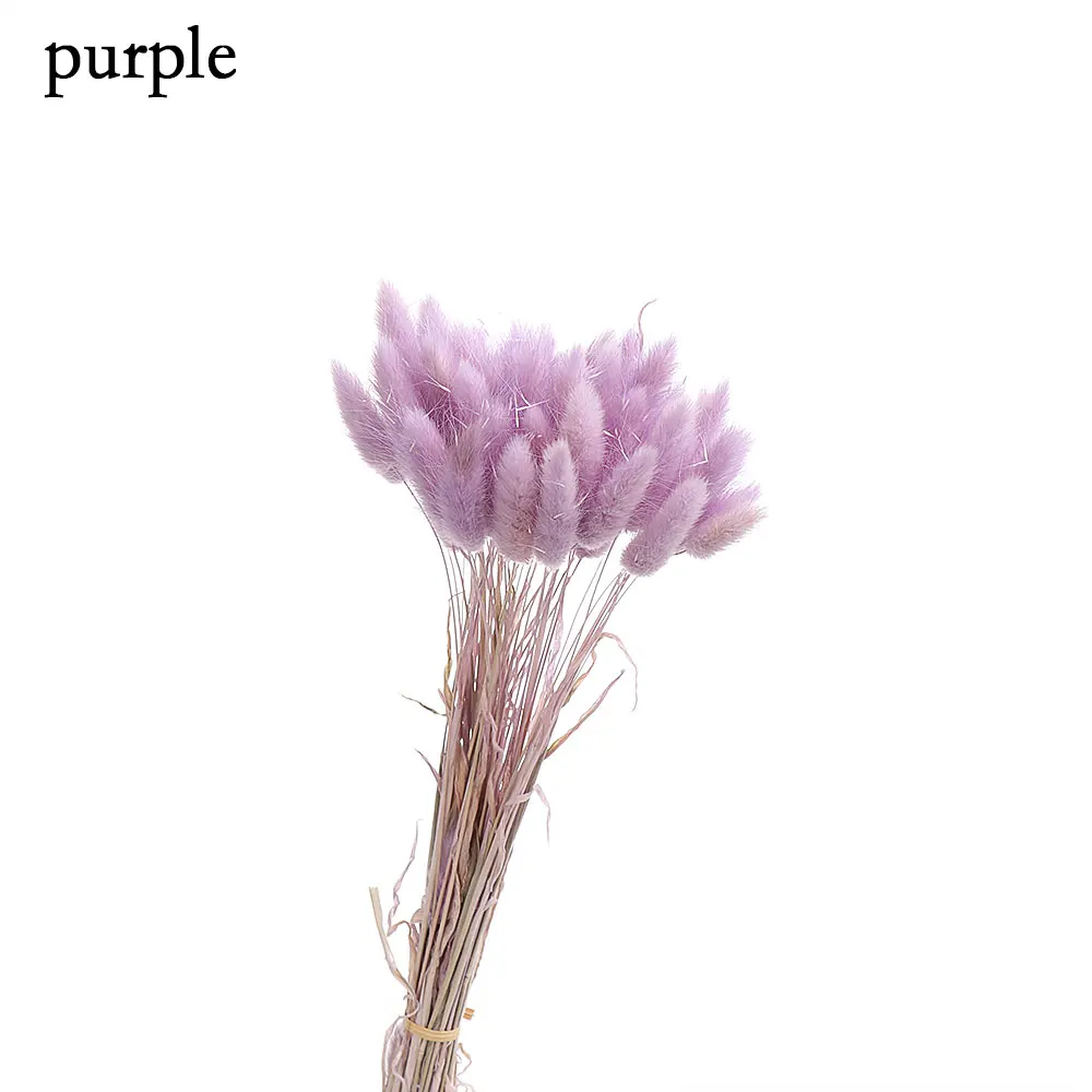 50 шт./Букет сушеных естественных цветов букеты красочные лагурус оватус букеты& Uraria picta& Кролик хвост трава букеты грозди - Цвет: Фиолетовый