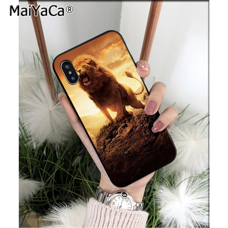 Cool Animal Lion