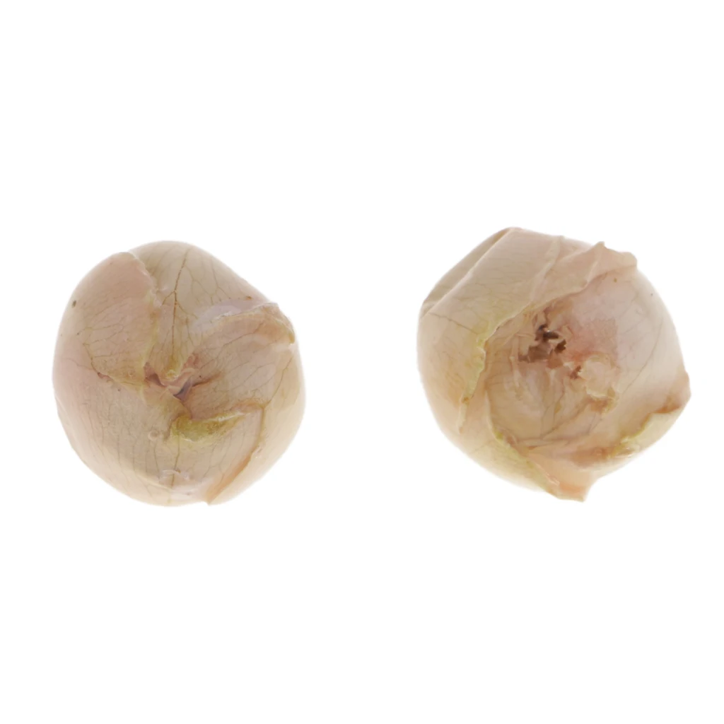 2Pcs Real Flower Charms Natural Dried Rose Pendants with Hanging Ring for Earring Making Findings Crafts