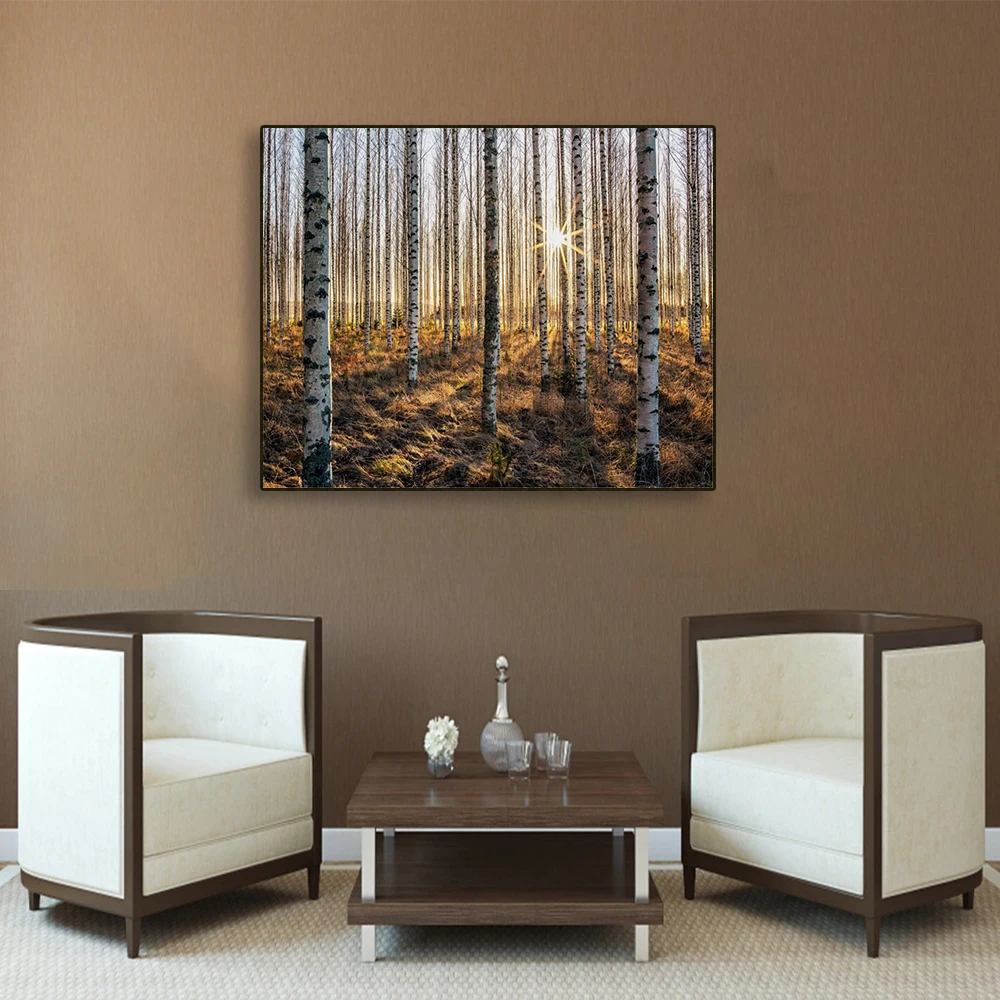 

Laeacco Canvas Calligraphy Painting Autumn Sunshine Birch Forest Poster Print Wall Art Pictures for Living Room Home Decoration
