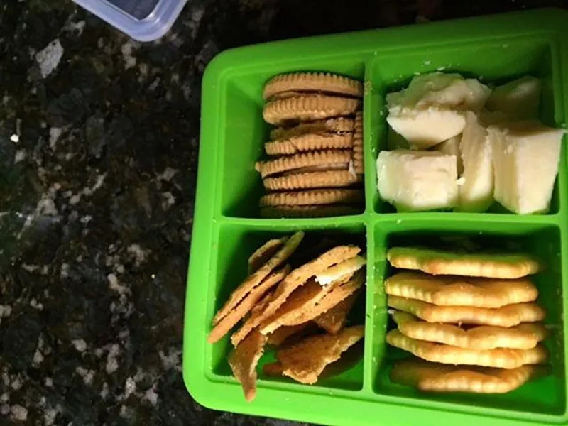 Multi-Purpose 4 Cube 2 Inch Jumbo Durable.Silicone Ice Cube Tray Mold with Lid for Baby Pruee, Herb,Ice Cube and Bakery