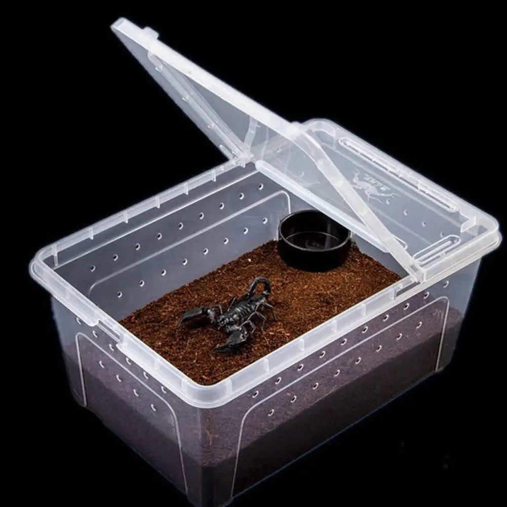 LanLan Transparent Feeding Box Reptile Box Amphibian for Snake Cage