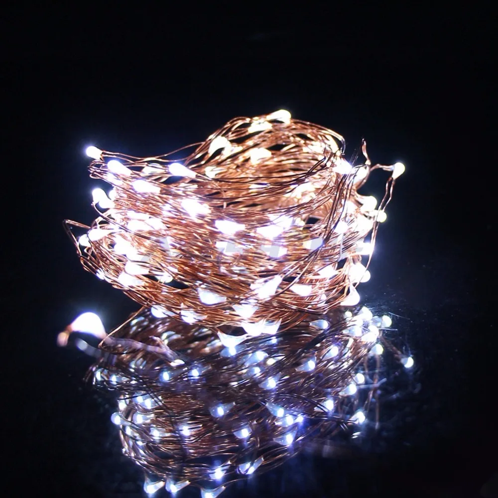 12 String Dorm Lights