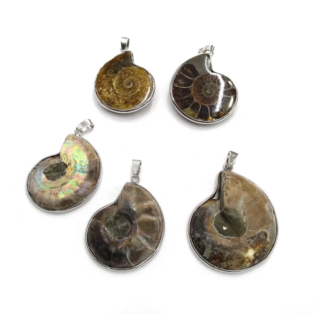 

Natural pendant shells, snails, pendants, marine heavy objects, conch shells, necklaces, jewelry specifications 30x40mm