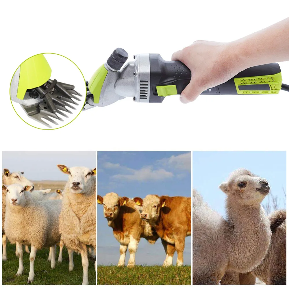 Electric Shearing Clipper (2)
