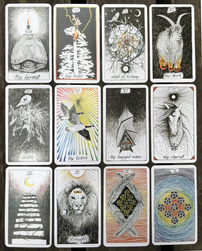 

Wild Tatot game mysterious Tarot Deck cards magical wild animal tarot cards 78 cards/set